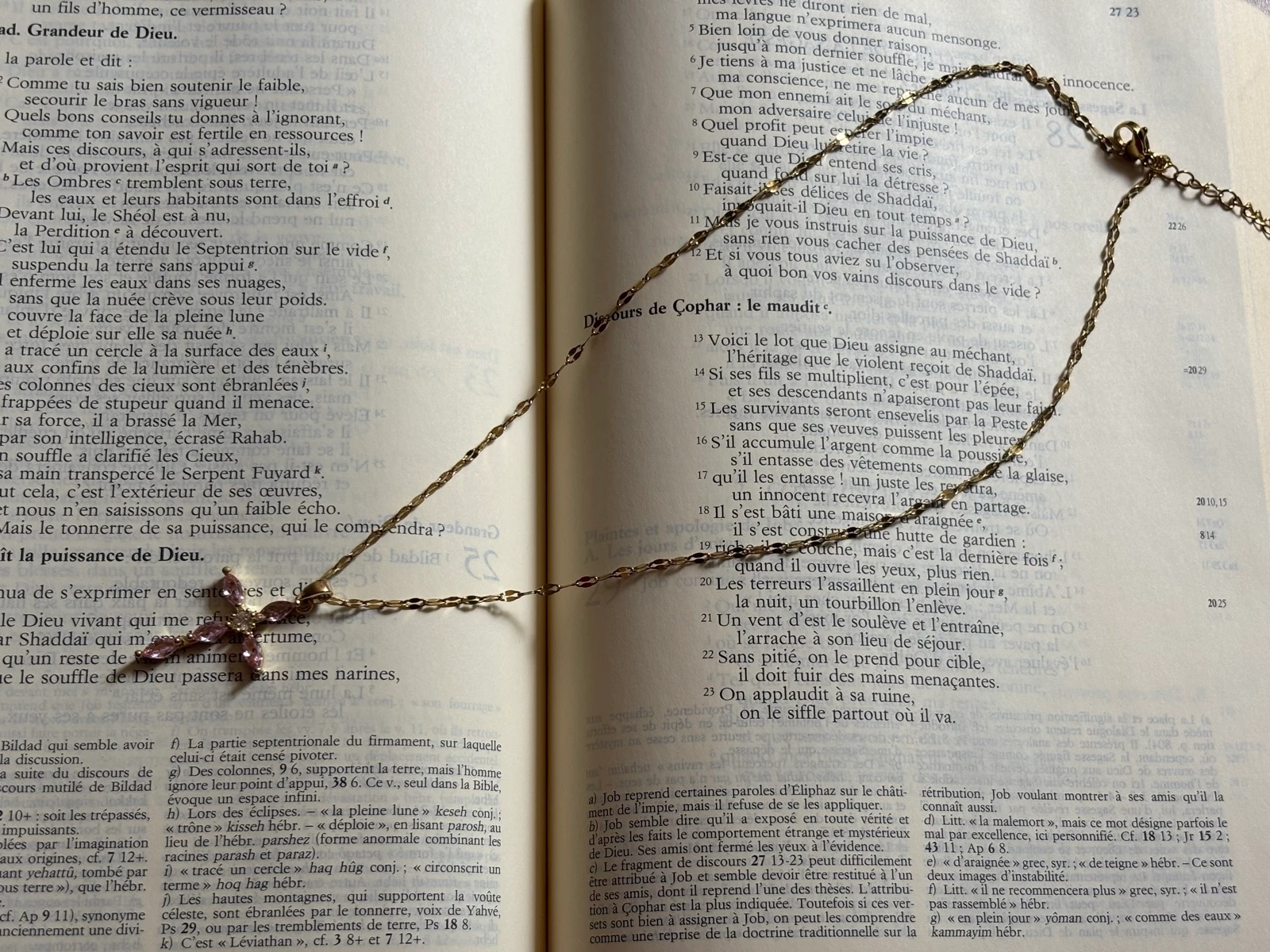 Colar cristão Cruz Rosa em aço inoxidável dourado | Joia cristã feminina | Ajustável – photo 3